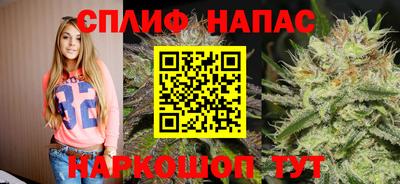 мяу мяу мука Будённовск