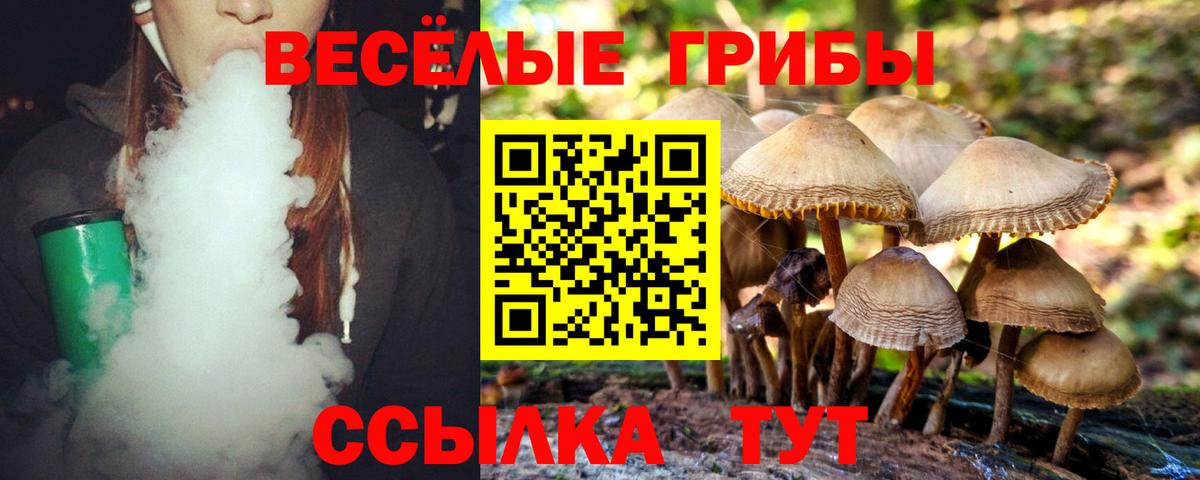 Галлюциногенные грибы Psilocybine cubensis Павловский Посад
