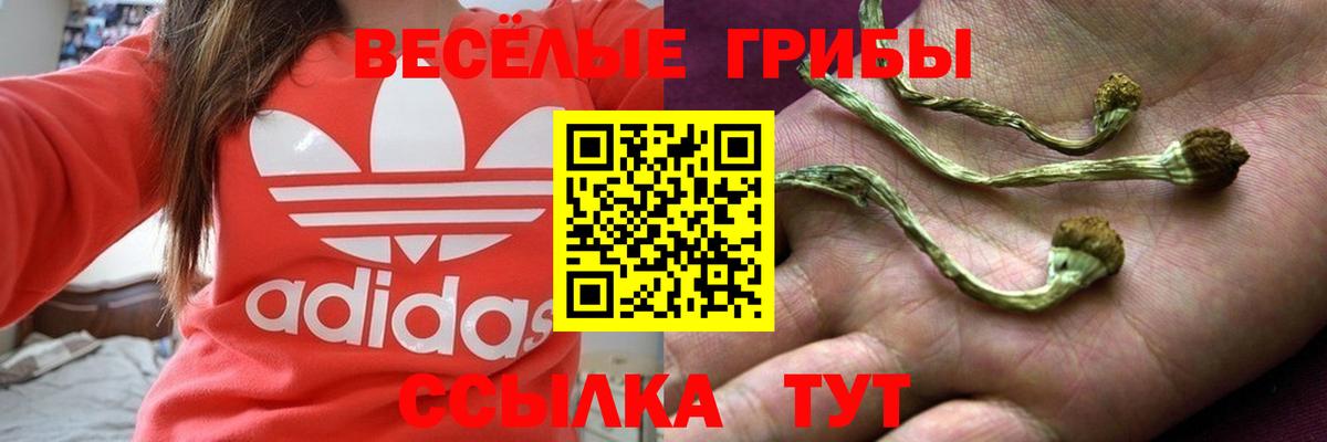 Галлюциногенные грибы мухоморы  Вход с VPN  Павловский Посад  Галлюциногенные грибы MAGIC MUSHROOMS 